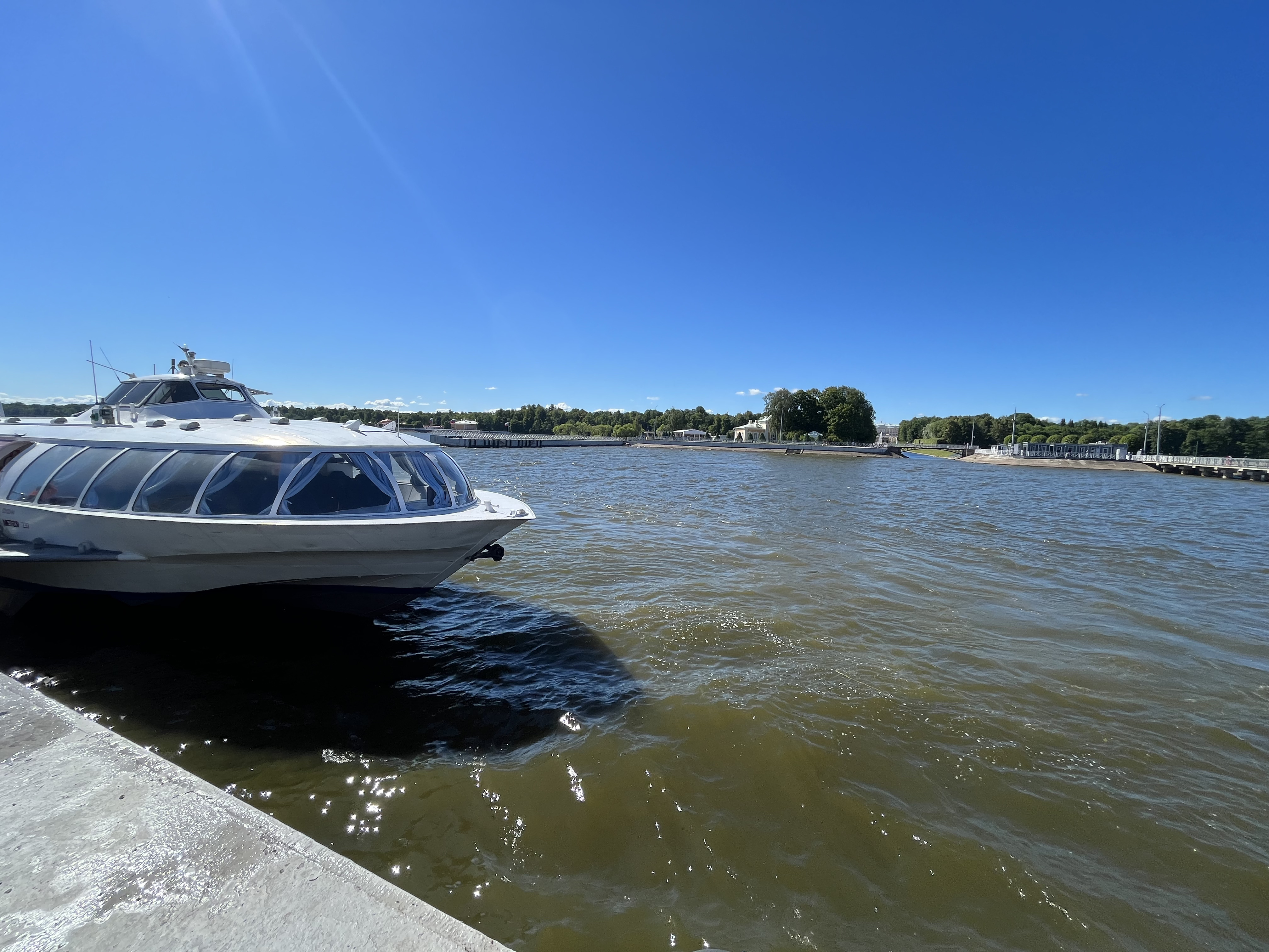 Фото отзыва