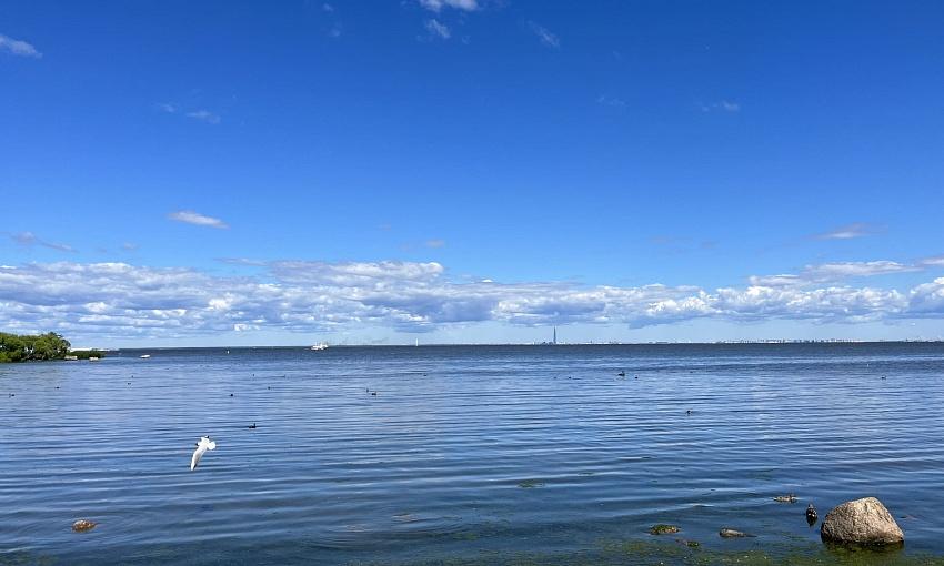 Достопримечательности Санкт-Петербурга